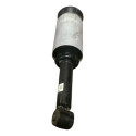 Amortecedor Bolsa Ar D/d (22245459) Land R Discovery 4