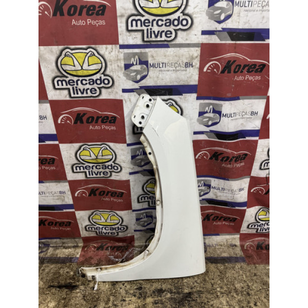 Paralama Esquerdo Volkswagen Tiguan 2009 / 2017