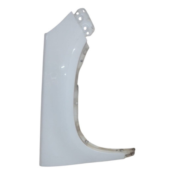 Paralama Direito Volkswagen Tiguan 2009 / 2017