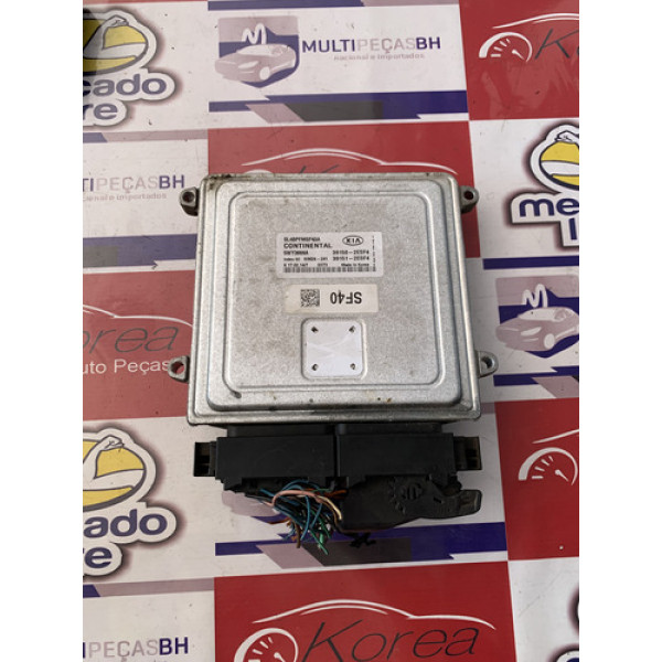 Módulo Injeção (391502esf4) Kia Sportage 2.0 2011/2014